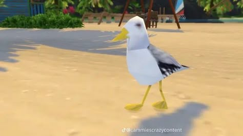 Low Poly Animals, Poly Animals, Goofy Animals, Wallpaper Profile, Sea Gull, Game Birds, Silly Animals, Silly Cats, Low Quality