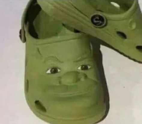 Shrek Mood, Shrek Pfp, Mcdonalds Playground, Shrek Crocs, Shrek Aesthetic Cute, God Meme, Shrek Memes, Lord Farquaad, It's Wednesday