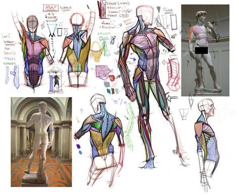 Michael Hampton Michael Hampton, Human Anatomy Reference, Male Figure Drawing, Man Anatomy, 얼굴 드로잉, Anatomy Tutorial, Human Anatomy Drawing, Human Figure Drawing, Human Anatomy Art