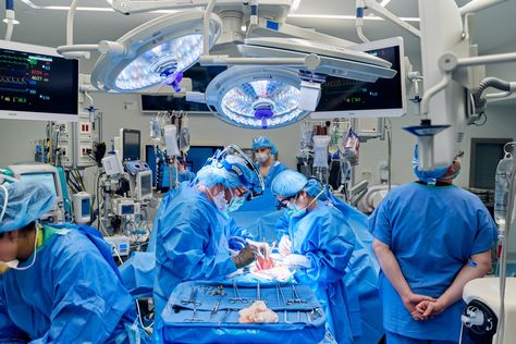 Second Patient Receives Gene-Edited Pig Kidney Transplant in Breakthrough Surgery Nyu Langone, Mechanical Heart, Pig Heart, Cardiothoracic Surgery, Robert Montgomery, Lung Transplant, Tech Women, Heart Pump, Terminal Illness