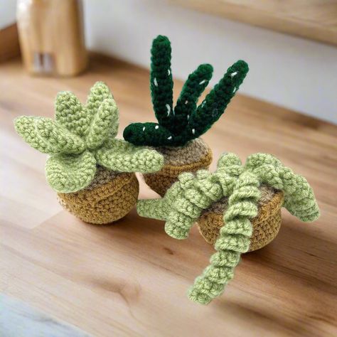 Succulent Greens Amigurumi Kit 🌱 Special Bundle Deal Darning Needle, Knit Or Crochet, Crochet Hook, Hanging Plants, Cute Crochet, Plant Lover, Knitting Needles, Beautiful Gardens, Crochet Hooks