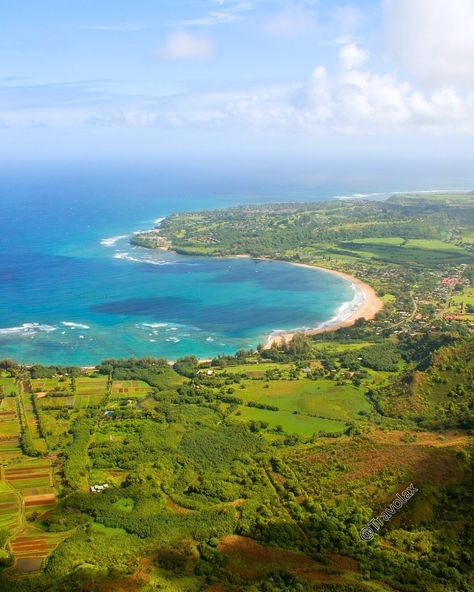 Hanalei Bay, Hawaii, USA #hanaleibay #hawaii #travelphotography #beautifuldestinations #naturelovers #paradise #beachvibes #islandlife #explorehawaii #travelgram #instatravel #landscapephotography #oceanview #tropicalparadise #wanderlust #vacationmode #hikingadventures #sunsetlover #scenicviews #travelblogger #pnw #adventuretime #getoutside #beachlovers #ig_hawaii Hanalei Bay, Hawaii Usa, Sunset Lover, G Adventures, Vacation Mode, Beach Lovers, Tropical Paradise, Island Life, Scenic Views