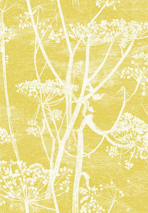 Cole Son Wallpaper, Son Wallpaper, Cow Parsley, Cole And Son Wallpaper, Classic Wallpaper, Yellow Gold Color, Interior Wallpaper, Contemporary Wallpaper, Contemporary Fabric