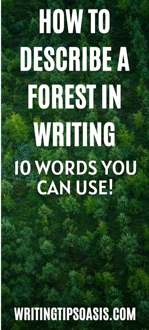 how to describe a forest in writing Words To Describe A Forest, Describing Forest Writing, How To Describe A Forest, How To Describe A Forest In Writing, How To Describe A Setting, How To Describe Fear In Writing, Forest Words, Forest Description, Character Details