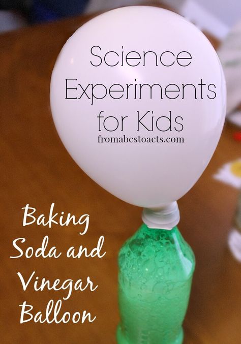 Baking soda and vinegar reactions are always fun to watch but when you add a balloon to the mix your preschooler is going to have a blast! November Stem, Balloon Science Experiments, Preschool Circus, Circus Activities, Balloon Experiment, Circus Crafts, Baking Soda And Vinegar, Science Experiments For Kids, Science Experiments For Preschoolers