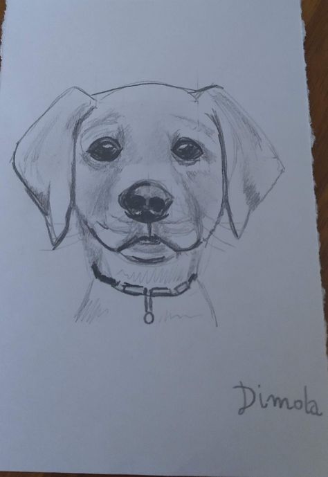 Dog Sketch Easy, Dog Illustration Art, Dog Drawing Tutorial, Puppy Sketch, Animal Drawings Sketches, Pencil Sketch Images, Easy Love Drawings, Dog Sketch, Cool Pencil Drawings