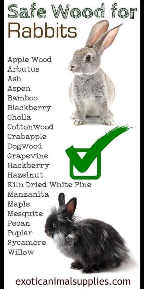 Safe Wood For Rabbits, Rabbit Bordem Breakers, Bunny Supplies Organization, Diy Enrichment Toys For Rabbits, Bunny Chew Toys, Rabbit Tips Bunny Care, Bunny Needs List, Diy Rabbit Accessories, Bunny Toys House Rabbit