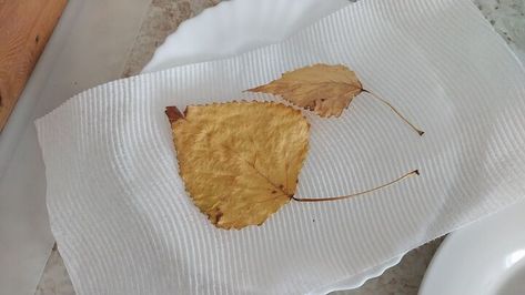 I seen this on the internet somewhere and decided to give it a try.  I never thought to use the microwave to press and dry flowers or leaves.   Some flowers did not work out but the leaves turned out perfect and it is so easy.  No more trying to find a large book and something heavy to put on it.  I put my leaves between two paper towels and then set that onto a small plate and then set another plate on top of the paper towel to weigh it down.  I microwaved in 30 second increments unti… Work Out But, Dry Leaves, Felt Squares, Pressed Leaves, Stone Columns, Pinterest Diy Crafts, Fall Garland, Bottle Wrapping, Pinterest Diy