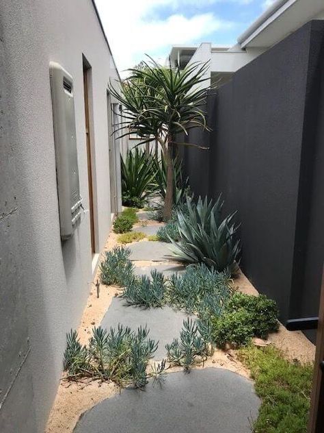 Side Access Garden Ideas, Bluestone Steppers, Front Yard Design Ideas, Yard Design Ideas, Garden Front Yard, Desert Gardens, Side Yard Landscaping, Australian Native Garden, Front Garden Design