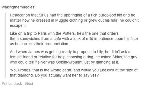 Upbringing of a pure blood Hp Headcanon, Yer A Wizard Harry, Black Family, Harry Potter Headcannons, Trip To Paris, Small Lake, Harry Potter Jokes, Harry Potter Marauders, Harry Potter Love