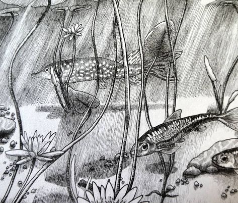 14 ocean drawings underwater Sea Scenery Drawing, Drawing Sea Creatures, Drawing Underwater, Scenery For Beginners, Ocean Drawings, Fantasy Underwater, Drawing Ocean, Creatures Drawing, Underwater Scenery