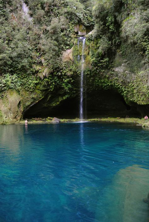 Omanawa Falls, New Zealand.  New Zealands Bay of Plenty Bay Of Plenty New Zealand, Cliff Face, Bay Of Plenty, Work For It, The Chase, Tree Roots, A Hill, Worth It, Climbing