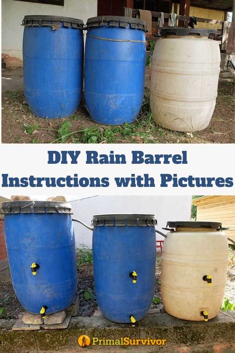 Diy Rain Barrel, Diy Jardin, Water From Air, Rainwater Collection, Water Barrel, Rain Collection, Rainwater Harvesting, Water Collection, Rain Barrel