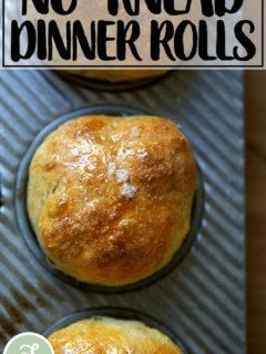 Easy, No-Knead Dinner Rolls | Alexandra's Kitchen No Knead Dinner Rolls, Alexandra Cooks, Dinner Rolls Easy, Yeast Baking, Frozen Dinner Rolls, Vegan Breads, Peasant Bread, Recipe Bread, Rolls Easy