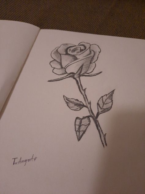 Rose With Thorns Drawing, Thorns Drawing, Rose With Thorns, Rose Thorns, Rose Drawing, Rose Stem, Roses Drawing, Tat Ideas, A Rose