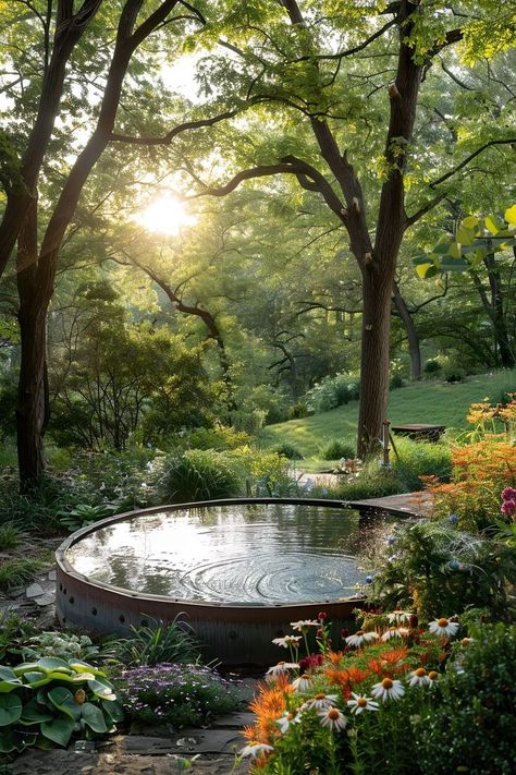 Backyard With Garden And Pool, Pasture Pond Ideas, Natural Pond Pool Backyards, Wooded Backyard Landscaping, Natural Yard Landscaping, Small Ponds With Waterfall, Whimsical Pool, Pool On A Budget, Farm Pool