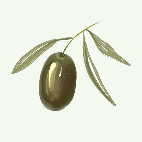 Vector olive branch hand drawn isolated ... | Premium Vector #Freepik #vector #olive #olive-green #olive-oil #olive-tree Green Olive Drawing, Olive Branch Art Simple, Olive Tree Design, Green Olive Tattoo, Martini Olive Tattoo, Olive Doodle, Olive Oil Aesthetic, Olive Logo Design, Olives Aesthetic