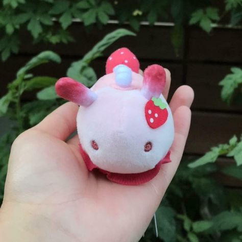 Sea Bunny Plush, Cat Spirit, Coconut Dream, Kawaii Bunny, Sea Slug, Kawaii Plush, Kawaii Plushies, Cute Stuffed Animals, Cute Plush