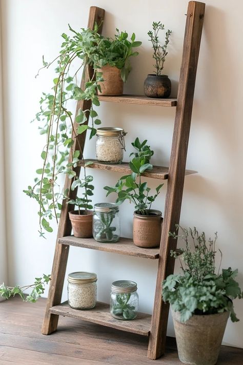 "Bring the beauty of upcycling into your home with creative Decor Ideas! ♻️🛠️ Perfect for creating a space that’s both stylish and sustainable. 🌟✨ #UpcycleInspiration #DIYHomeDecor #EcoDesign" Vintage Home Ideas, Ladder Decoration, Rustic Fall Porch, Plants Shelf, Plant Interior, Plant Ladder, Upcycled Decor, Sustainable Interior, Upcycle Plastic