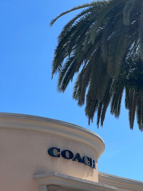 #coach #aesthetic #rich #brand #shopping #palm #palmtree #shop #spree #haul #architecture #green Coach Aesthetic, Recreate Photos, Aesthetic Logo, Coach Store, Photo Recreation, Bags Logo, Birthday, Quick Saves