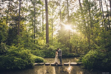 Durham-Wedding-Photography-Duke_Gardens-18 Duke Gardens, Save The Date Pictures, Durham Nc, Photo Idea, Engagement Photoshoot, Best Love, Senior Photos, Engagement Pictures, Durham