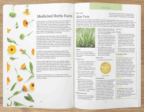 Ancient Remedies, Medicine Garden, Garlic Supplements, Medicinal Herbs Garden, Harvesting Herbs, Connection With Nature, Skin Disorders, Herbal Blends, Homemade Remedies