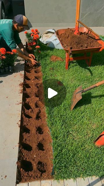 Ideas Jardines Pequeños, Ideas De Jardin, Ixora Plant, Front Yards, April 11, Mini Garden, Front Yard, Yard, Plants