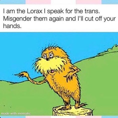 Lgbtq Quotes, Lgbt Humor, Lgbt Memes, Trans Boys, Lgbtq Funny, Gay Humor, Gay Memes, The Lorax, Story Book