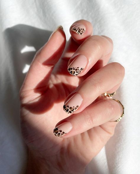 ⚡️Jess Ciesco on Instagram: “🐆 tips with @nailsinc on Back to Life base I’m a strong believer in anybody can paint leopard spots - it’s fast, effective and you don’t…” Nail Art Animal Print, Leopard Print Nails, Leopard Spots, Back To Life, Easy Nail Art, Instagram Tips, On Back, Leopard Print, Animal Print