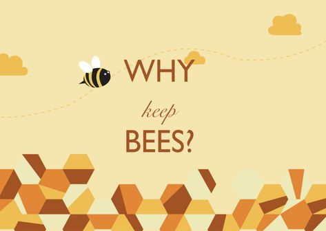 Animated Bee, Keeping Bees, Motion Graphics Animation, Motion Graphic, Behance Project, Behance Net, Design Reference, Motion Design, Motion Graphics