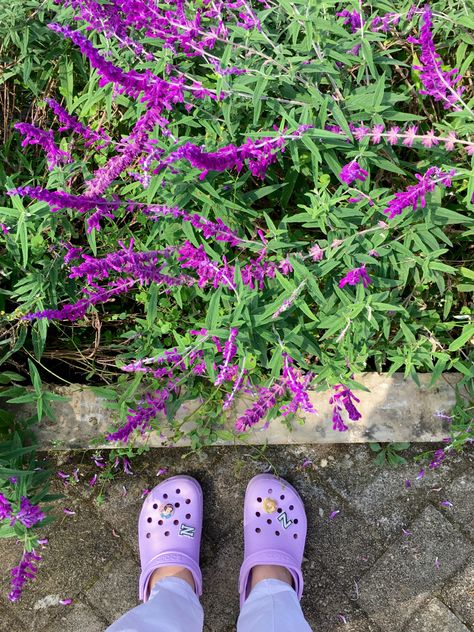 nice jibbitz are they not Lilac Crocs, Lilac, Sandals