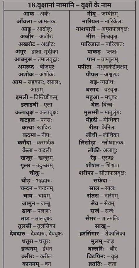 Sanskrit Language Learning, Anu God, Sanskrit Learning, Sanskrit Vocabulary, Sanskrit Grammar, Ancient Wisdom Quotes, Ancient Indian History, Sanskrit Language, Hindi Language Learning