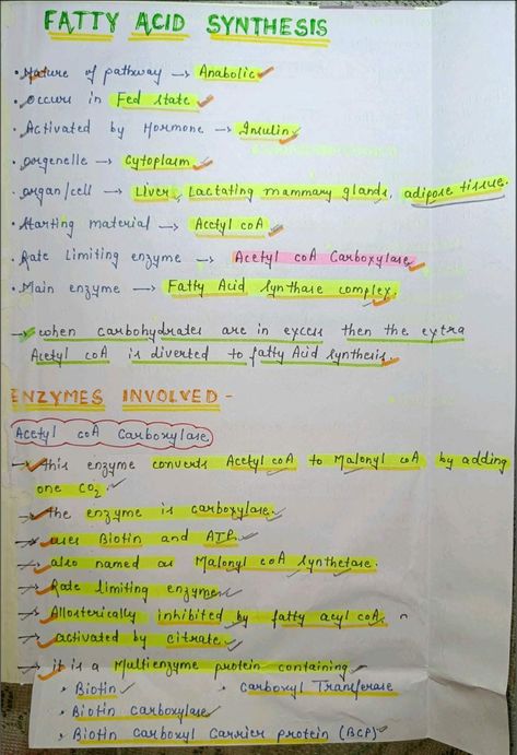 #mbbs #notes #handwritten #neet Mbbs Notes, Fatty Acid Synthesis, Oxidative Phosphorylation, Biochemistry Notes, Neet Notes, Acetyl Coa, Acid Base Balance, Ac D, Mammary Gland