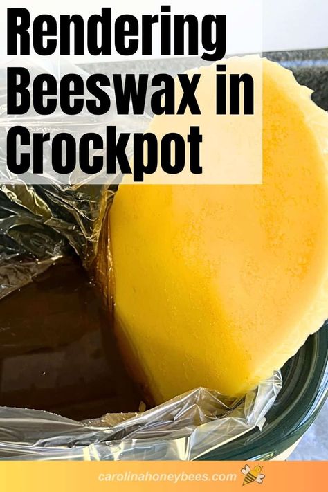 Rendering Beeswax in a Crockpot- Carolina Honeybees Rendering Beeswax In Crockpot, Honey Bee Wax Uses, How To Make Beeswax Pellets, Bee Wax Uses, Beeswax Products, Crockpot Liners, Beeswax Recipes, Honey Bee Garden, Backyard Bee