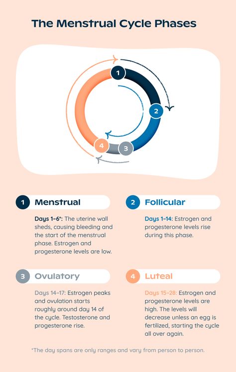 Cycle Syncing: Period Help And More — Krafty Planner Menstrual Tracker, Fertility Chart, Menstrual Cycle Phases, Period Cycle, Cycle Syncing, Progesterone Levels, Low Libido, Health Hacks, Workout Chart