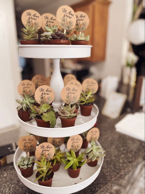 Succulent Favors Baby, Retirement Svg, Succulent Party Favors, Succulent Display, Lion King Baby Shower, Let Love Grow, Succulent Favors, Sprinkle Party, Engagement Party Gifts