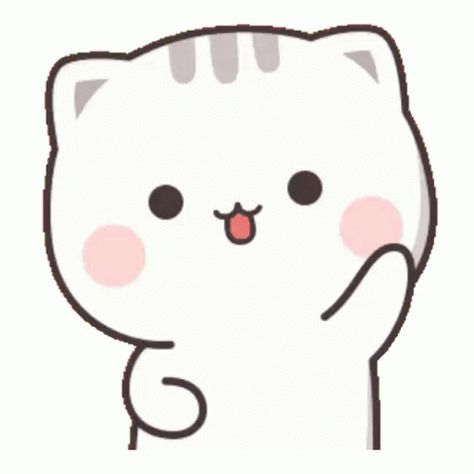 Cat Animation Gif, Cute Png Gif, Animated Cat Gif, Peach Gif, Cutie Cat-chan, Hi Gif, Message Stickers, Cutie Cat, Cream Cat