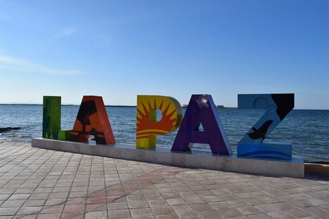 La Paz es la capital del estado y posee varias playas de blanca arena. Things To Do In La, Swimming With Whale Sharks, Sea Of Cortez, Baja California Mexico, Whale Sharks, Shark Swimming, Bus Life, Kayak Trip, Baja California Sur