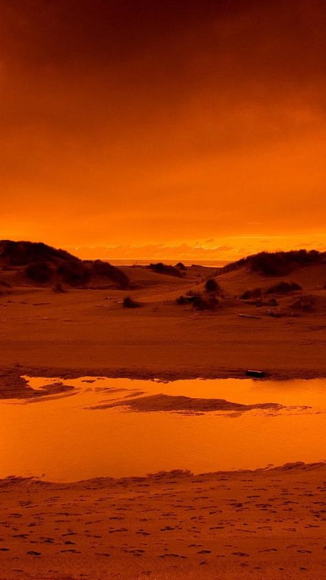 Hot Desert Aesthetic, Orange Desert Aesthetic, Red Desert Aesthetic, Desert Oasis Aesthetic, Desert Sunset Aesthetic, Desert At Night, Orange Desert, Oil Pastel Landscape, Watercolor Night Sky