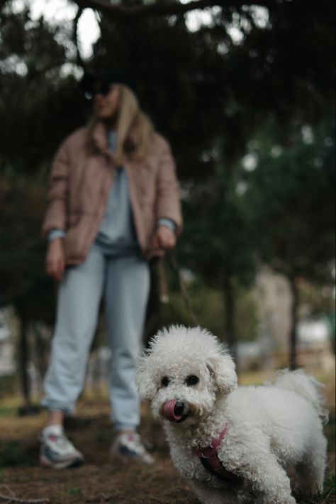 Dog Owner Photoshoot, Family Dog Photos, Pet Photography Poses, Dog Foto, Pet Portraits Photography, Animal Photoshoot, Puppy Photography, Photos With Dog, Dog Photoshoot