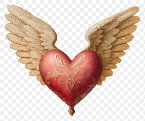 Wings Icon Aesthetic, Hearts Png Aesthetic, Heart Illustration Art, Cupid Aesthetic, Cupid Drawing, Cupid Wings, Wings Painting, Wings Icon, Cupid Heart