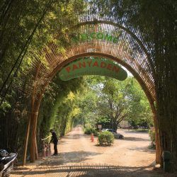 Bamboo Cocoon / Bamboo Architecture Bamboo Entrance, Hydroponics Setup, Bamboo Arch, Farm Dream, Earth Architecture, Bamboo Roof, Bamboo Building, Bamboo House Design, Backyard Seating Area