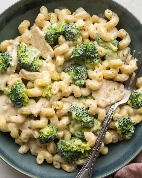 Ashley | Easy Family Meals on Instagram: "I know, it’s kind of old school 💁‍♀️👇 • But this is an IMAGE of Chicken Broccoli Alfredo. It’s pretty wild. All still and serene 🤣 I love using Cavatappi pasta for this recipe (it’s fun!). Pair it with sliced chicken, creamy garlic-parm sauce and broccoli 💥 Grab the recipe at the link in my profile @thereciperebel 👈👈 https://www.thereciperebel.com/chicken-broccoli-alfredo/ #alfredo #alfredopasta #pastarecipe #pastarecipes #easydinner #easymeals #di Chicken Spaghetti Recipe Crockpot, Cavatappi Pasta, Crockpot Chicken Spaghetti, Shredded Chicken Crockpot, Spicy Baked Chicken, Easy Shredded Chicken, Baked Pesto Chicken, Slow Cooker Creamy Chicken, Make Shredded Chicken