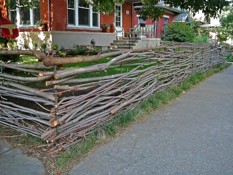 Diy Gates, Stick Fence, Living Fences, Fences Alternative, Spirit Island, Garden Gates And Fencing, Natural Fence, Bee Farm, Urban Farm