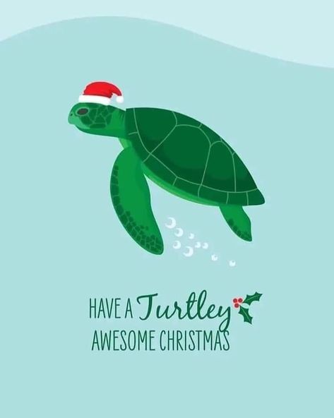 Marine Christmas, Baby Gift Tags, Turtley Awesome, Aussie Christmas, Beachy Christmas, Tropical Christmas, All Christmas, Christmas Card Art, Green Turtle