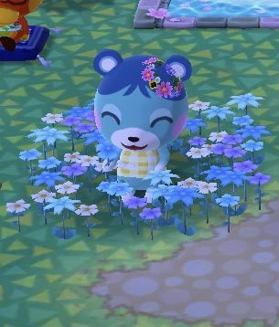 Bluebear Animal Crossing, Berry Bee Benson, Silly Icons, Acnh Villagers, Animal Crossing Villagers, Blue Bear, Animal Crossing Pocket Camp, Pocket Camp, Zentangle Art