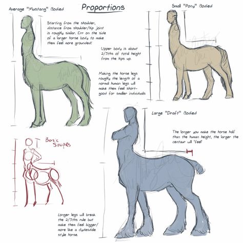 Centaur Oc, Human Torso, Creature Drawings, Fantasy Creatures Art, Concept Art Drawing, Poses References, Mythical Creatures Art, Creature Concept Art, Anatomy Reference