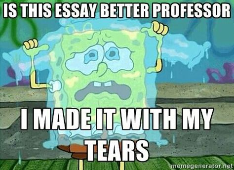 Ap English, College Humor, Grad School, School Humor, Spongebob Squarepants, College Life, A Train, How I Feel, Bones Funny