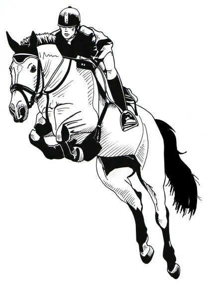 Jumping Sketch, Ride Drawing, Horse Outline, Animal Line Drawings, Horse Art Drawing, Show Jumping Horses, Western Artwork, Horse Sketch, Horse Coloring Pages