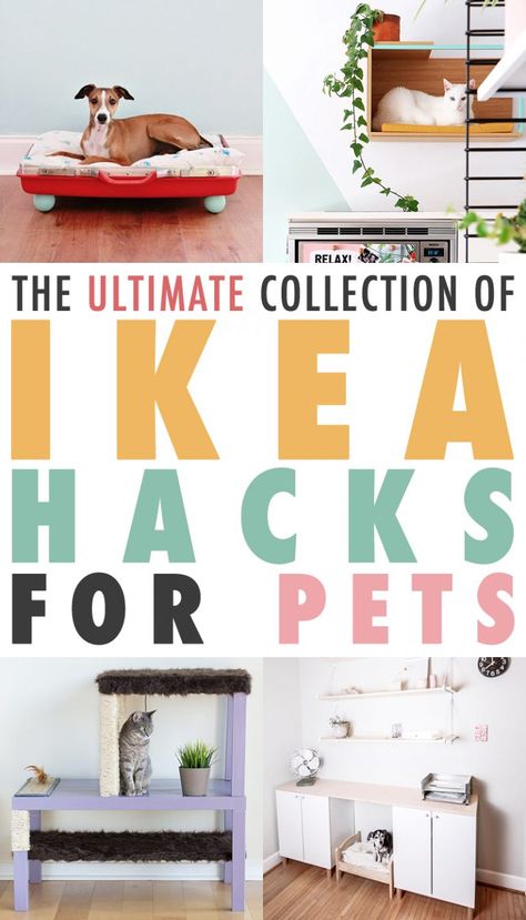 Cat Litter Cabinet, Ikea Cat, Billy Ikea, Katt Grejer, Kat Diy, Dog Bed Modern, Hack Ikea, Hacks Ikea, Bedroom Hacks